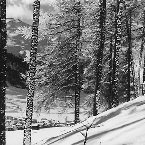 3* Отель Hotel Livigno